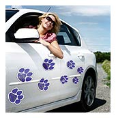 Art Z Cars paws decals on car